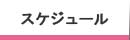 スケジュール